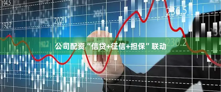 公司配资“信贷+征信+担保”联动